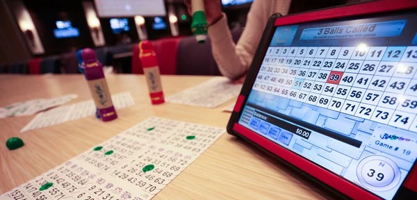 Bingo 101: A Comprehensive Guide for New Players