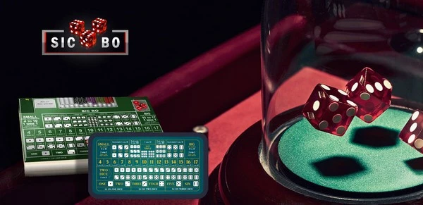 Sic Bo Made Simple: A Beginner's Guide to the Dice Game